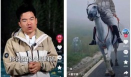 内部爆料董宇辉视频,内部爆料视频背后的真实故事